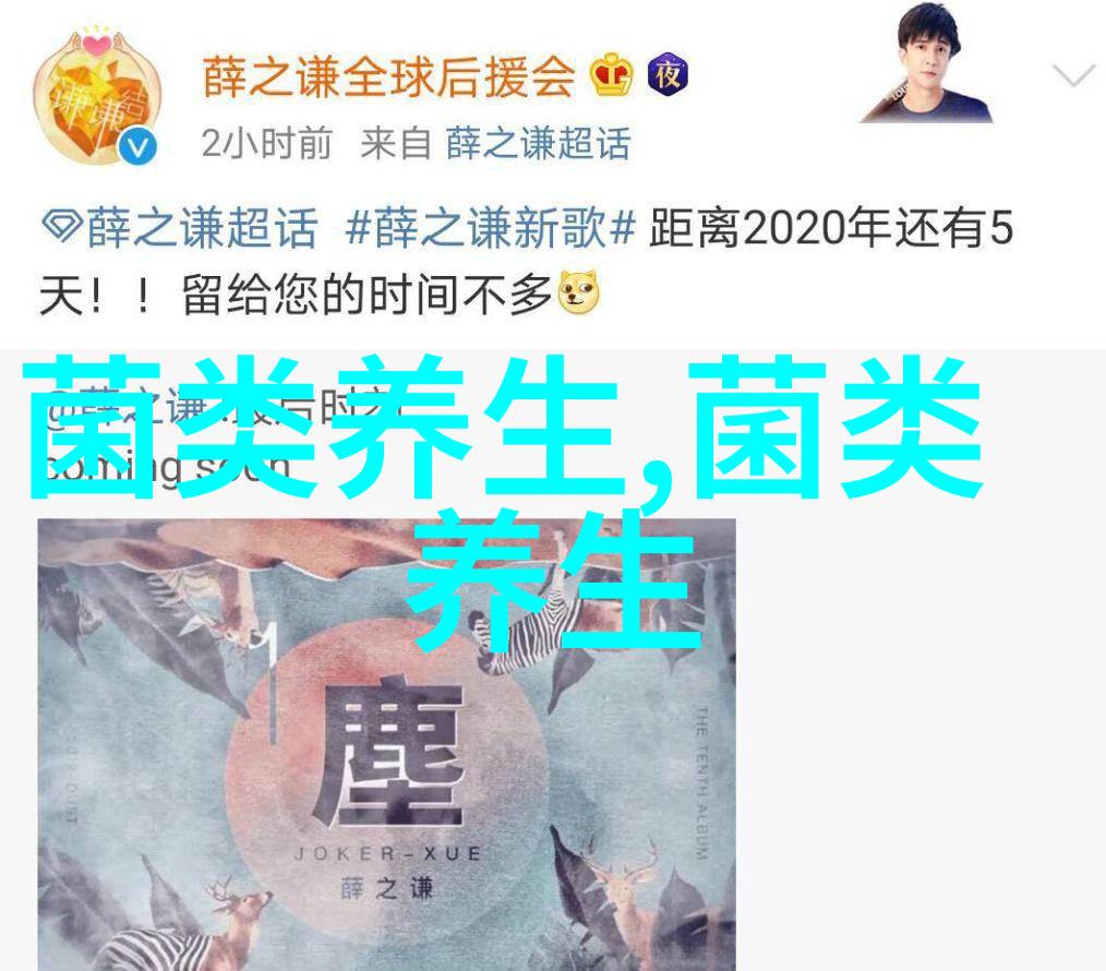 香菇的这一秘密终于藏不住了