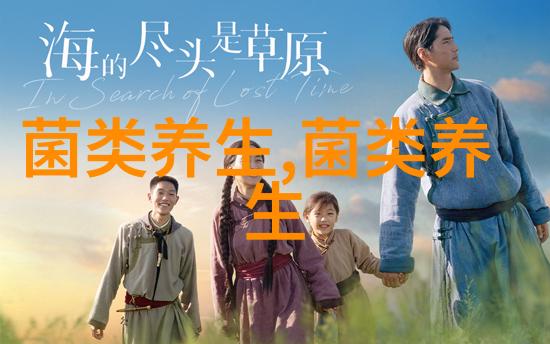 竹荪怎么吃营养价值最好